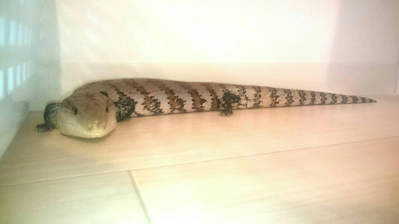 インタビュー記事画像03