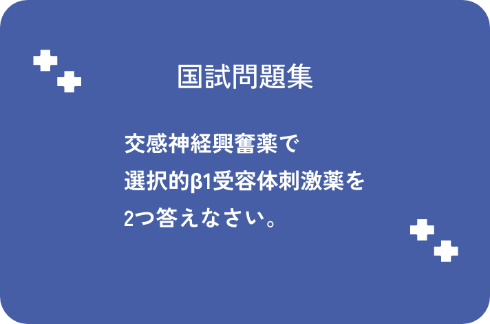 交感神経興奮薬で選択的β1受容体刺激薬を2つ答えなさい。_サムネイル画像