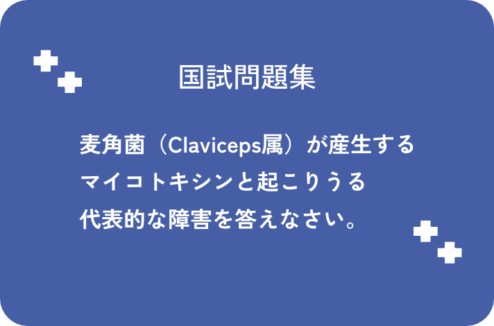 麦角菌（Claviceps属)が産生するマイコトキシンと起こりうる代表的な障害を答えなさい。_サムネイル画像