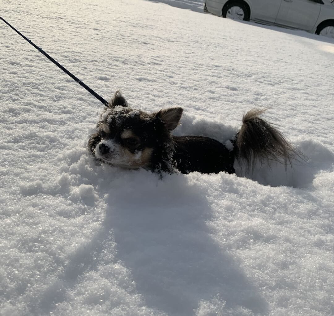 スタッフプロフィール写真②